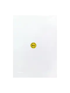 A19.png