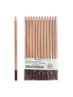 LAPIZ ARTISTICO `SA` CARBONCILLO TONALIZADO P/DISEÑO CJ.12pz.SANGUINA